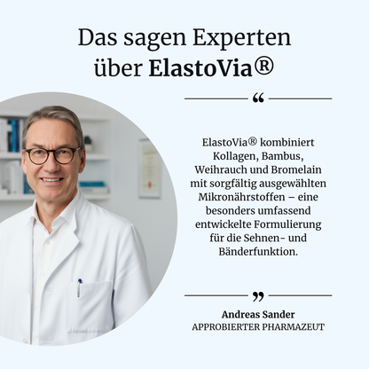 ElastoVia intens – Sehnen & Bänder